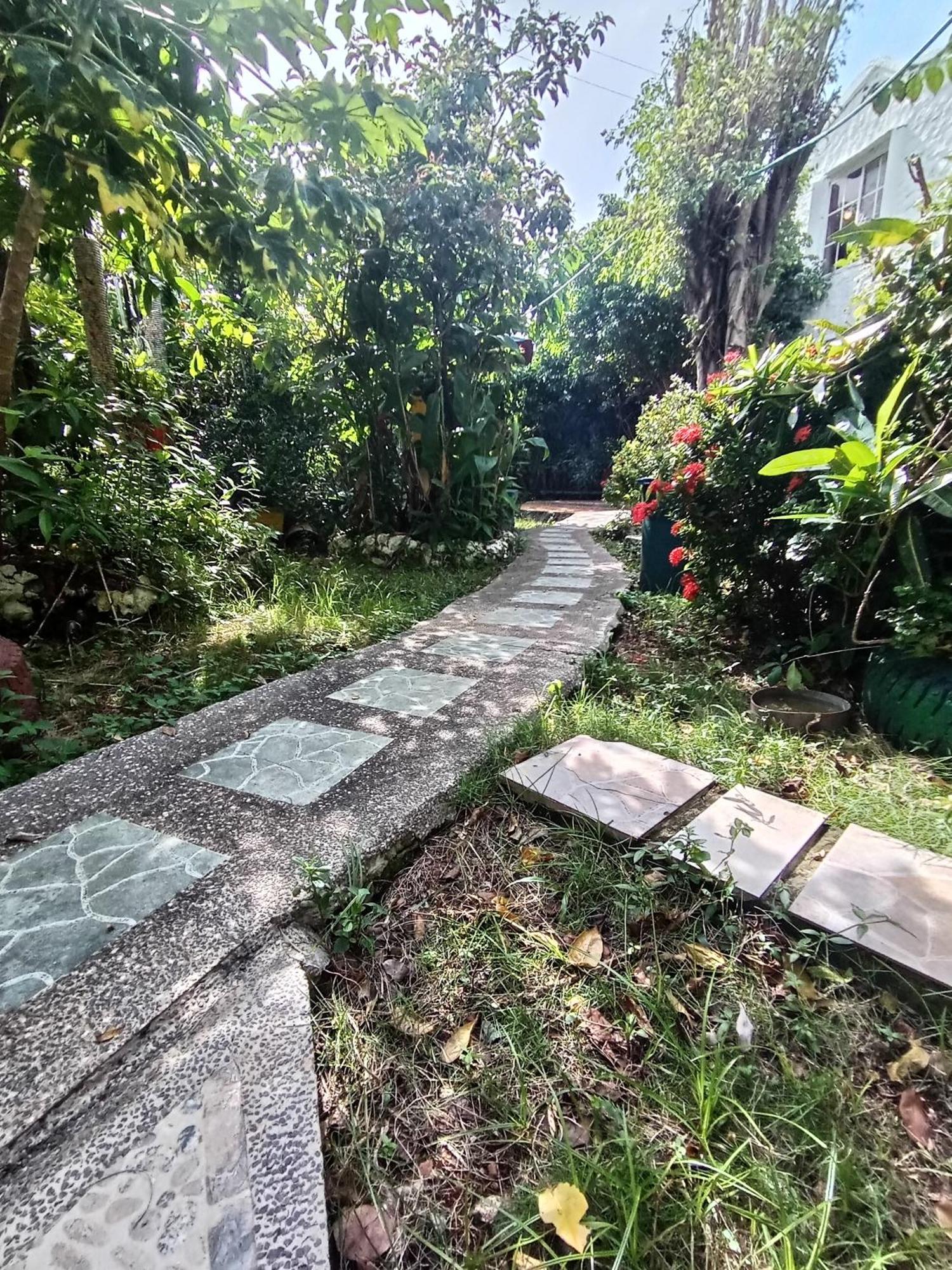 Hospedaje Turistico Angula Place San Andrés Exterior foto