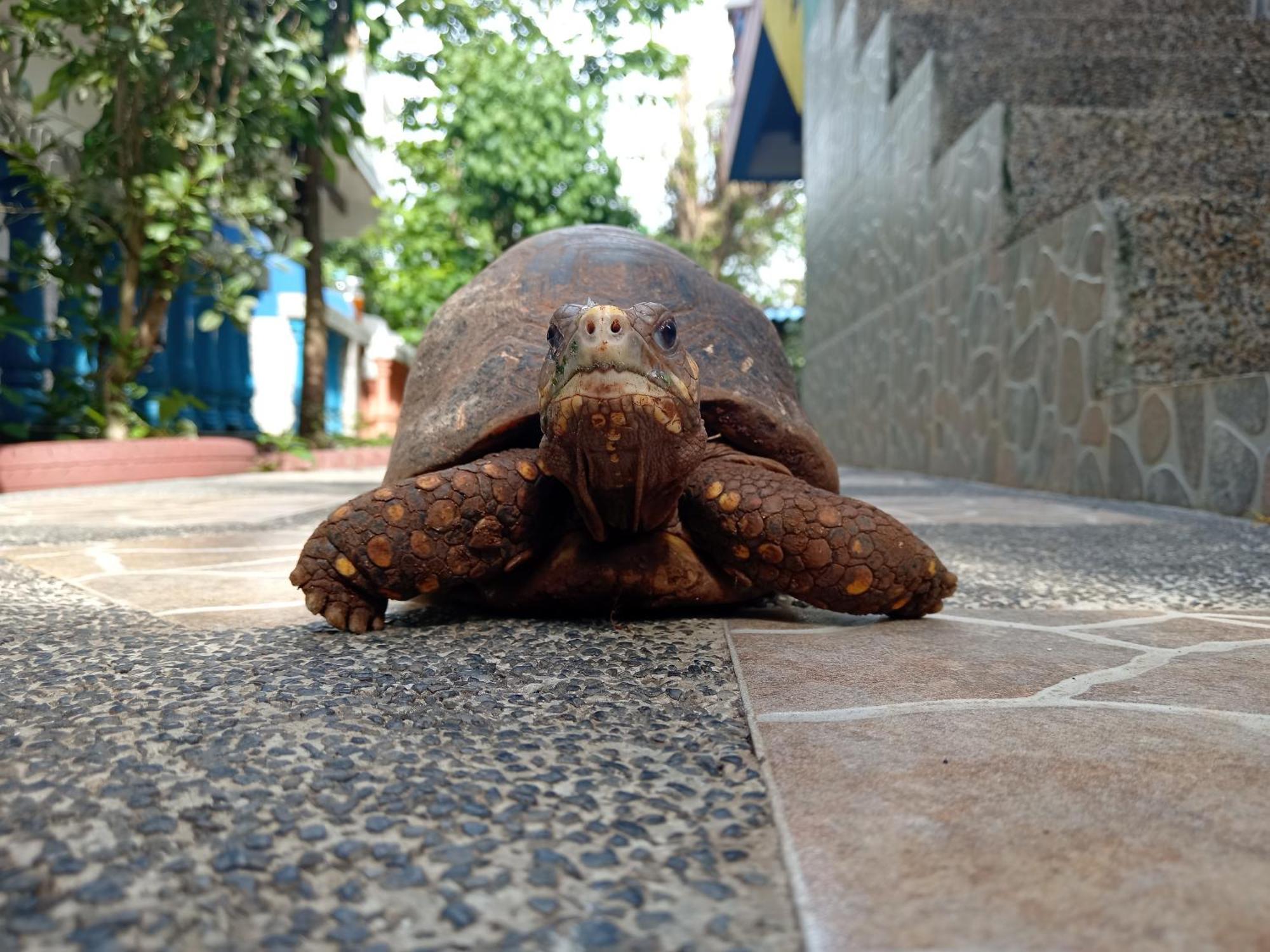 Hospedaje Turistico Angula Place San Andrés Exterior foto